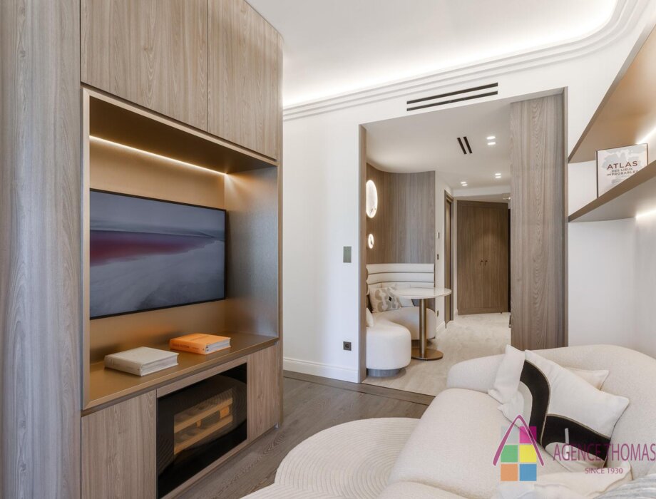 Magnifico monolocale  organizzato in 2 locali